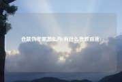 仓鼠伪冬眠怎么办(有什么急救措施)
