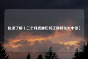 快速了解（二个月泰迪如何正确教导大小便）