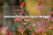 狗狗吃胎盘过多导致拉肚子怎么办（教你解决方法）