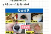 犬瘟能治好吗治好几率多少,幼犬得犬瘟能治好吗