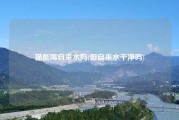 猫能喝自来水吗(但自来水干净吗)