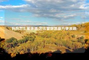 狗狗怎么量体温(怎么量体温最方便准确)