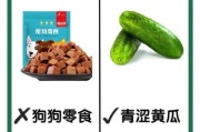 狗狗能吃黄瓜吗,小狗能吃黄瓜吗生的嫪毐