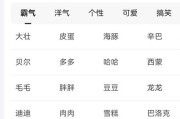 公泰迪好听顺口名字(给泰迪宠物取名大全男)