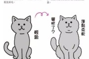 猫怕热吗可以接受多少度,猫怕热吗多少度合适