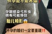 猫有弓形虫吗,弓形虫阳性怀孕怎么办
