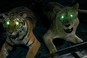猫的视力(解密猫科动物令人惊叹的夜视能力)