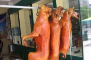 狗吃狗肉吗准确答案,肉狗吃什么