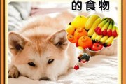狗能不能吃胡萝卜皮,狗能不能吃胡萝卜和鸡蛋