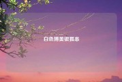 白色博美银狐串