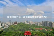 掌握这些方法（让你的宠物狗充满活力）