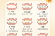 狗狗会换牙齿吗为什么,狗狗的牙齿