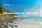 猫咪持续呕吐和随地大小便（这是什么原因如何快速纠正行为）