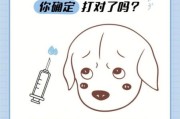 为什么不建议去宠物店打疫苗？专家提醒注意事项
