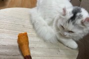 猫能不能吃红薯叶,猫能不能吃红薯苗