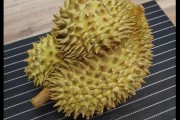 猫吃榴莲核会怎么样,猫吃榴莲会怎么样