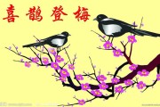 四季欢歌的四喜之鸟(喜鹊般的四喜鵲鸲鸟)