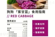 狗能吃紫甘蓝吗有毒吗,狗狗吃紫甘蓝的好处