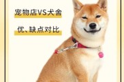 柴犬价格多少钱一只？不同地区价格差异大吗？