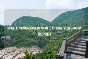 后腿无力的狗狗急需帮助（如何给予适当的紧急护理）