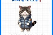 猫怕冷吗,猫感觉冷了有什么表现