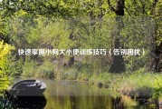 快速掌握小狗大小便训练技巧（告别困扰）