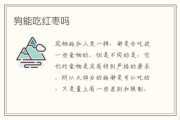 狗狗能吃红枣吗有营养吗,狗狗能吃红枣吗有什么功效呢