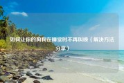 如何让你的狗狗在睡觉时不再叫唤（解决方法分享）
