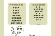 狗狗吃自己的便便怎么改正,狗吃粪便补什么微量元素