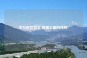 平毛巡回猎犬(需要大量陪伴吗)