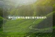狗可以吃柿子吗(看看它能不能吃柿子)