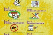 守护狗狗健康安全,如何守护你的狗狗远离病魔
