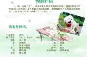 小狗资料简介,小狗资料卡小学生
