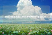 博美犬哪里有卖（购买博美宠物的全面指南）
