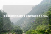 基努里维斯的狗(基努里维斯的狗具多大杀伤力)
