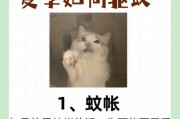 家里有猫怎么驱蚊子,家里有猫怎么驱蚊无害