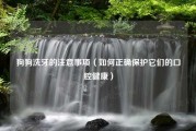 狗狗洗牙的注意事项（如何正确保护它们的口腔健康）