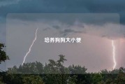 培养狗狗大小便