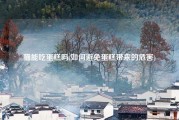 猫能吃蛋糕吗(如何避免蛋糕带来的危害)