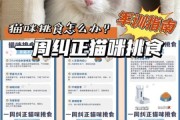 喂食时间电影,猫咪定时定量喂食时间