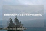 狗狗能喝奶粉吗（专家分享答案与注意事项）