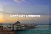金毛怕冷吗(需要添置保暖措施吗)