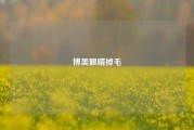 博美眼睛掉毛
