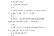 100个好听的牧羊犬名字,揭秘那些蕴含深刻意义的牧羊犬名字