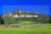 如何让金毛不随地大小便