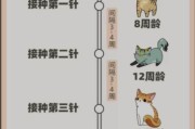 猫咪打疫苗步骤详解：从接种到加强针