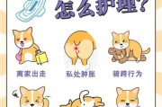 狗狗生理期一年几次,怎么让狗的例假停止
