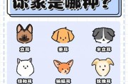 五种耳朵大惹人爱的犬种(揭秘给扫地僧狗狗添麻烦的长耳朵)