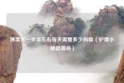 博美犬一岁半左右每天需要多少狗粮（护理小秘籍揭晓）