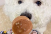 狗可以吃糖吗为什么,狗可以吃糖果么